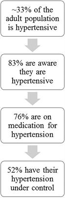 Neural Control of Cardiovascular Function During Exercise in Hypertension